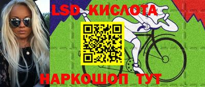 прущие грибы Новозыбков