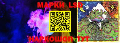 прущие грибы Новозыбков