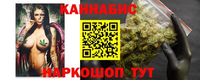 прущие грибы Новозыбков