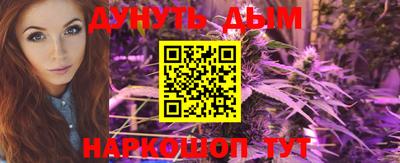 прущие грибы Новозыбков