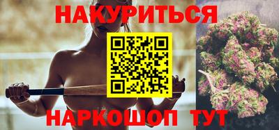 прущие грибы Новозыбков
