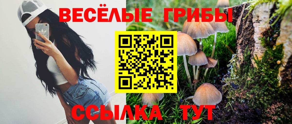 Псилоцибиновые грибы MAGIC MUSHROOMS Белорецк