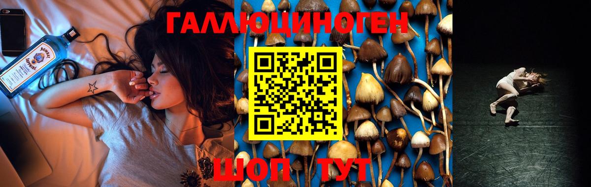 Псилоцибиновые грибы прущие грибы  Вход с VPN  Белорецк  Псилоцибиновые грибы Magic Shrooms 